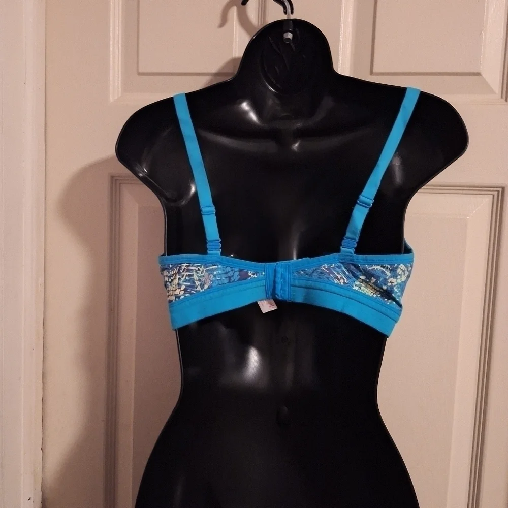 Lily of France bra size 36c